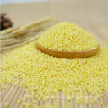 New Crop Hulled Yellow Millet With Good Manufacturer